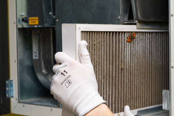 Best Professional Duct Cleaning Services  in Camp Hill, PA